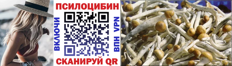 Псилоцибиновые грибы Psilocybe  Гаврилов-Ям 