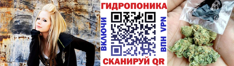 Бошки марихуана MAZAR  Гаврилов-Ям 